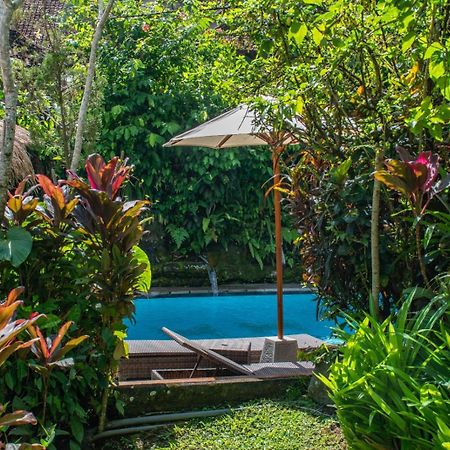 Down The Rabbit Hole Leilighet Ubud Eksteriør bilde